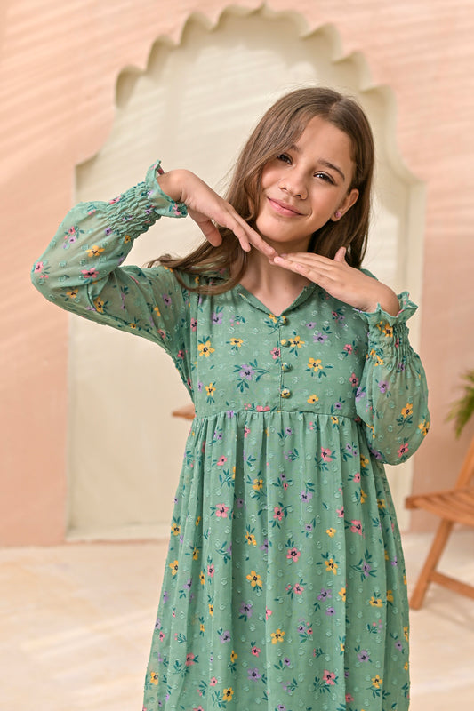 Mint Green - Broshia Chiffon