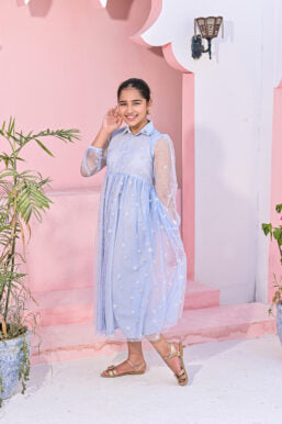 Baby Blue Net Embroidered Frock