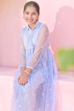 Baby Blue Net Embroidered Frock