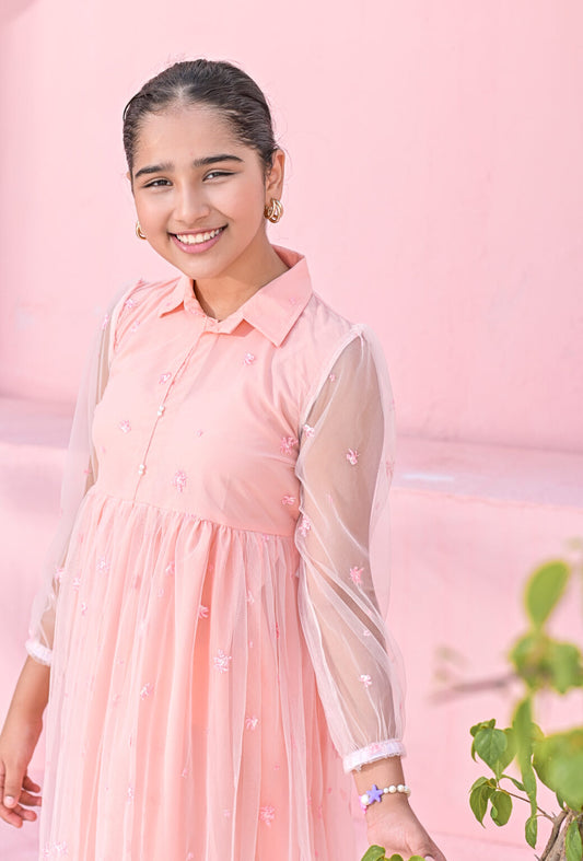 Baby Pink Net Embroidered Frock