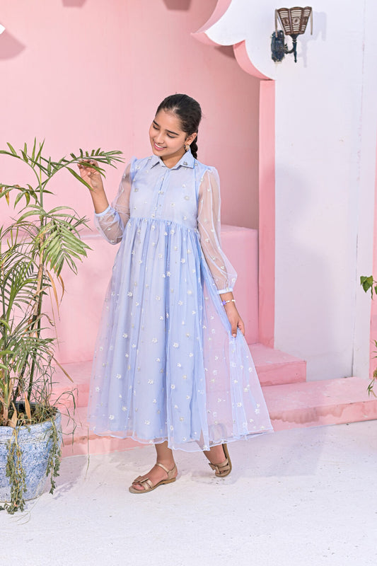 Baby Blue Net Embroidered Frock