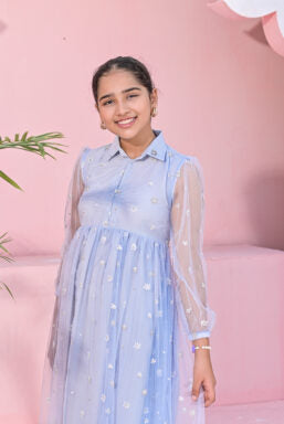 Baby Blue Net Embroidered Frock