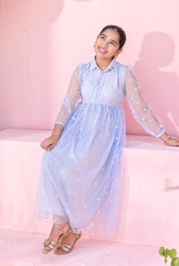 Baby Blue Net Embroidered Frock