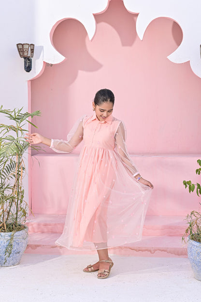 Baby Pink Net Embroidered Frock