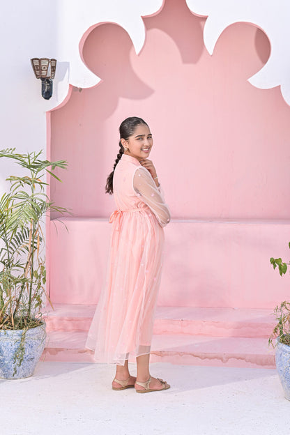 Baby Pink Net Embroidered Frock