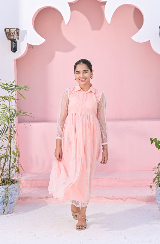 Baby Pink Net Embroidered Frock