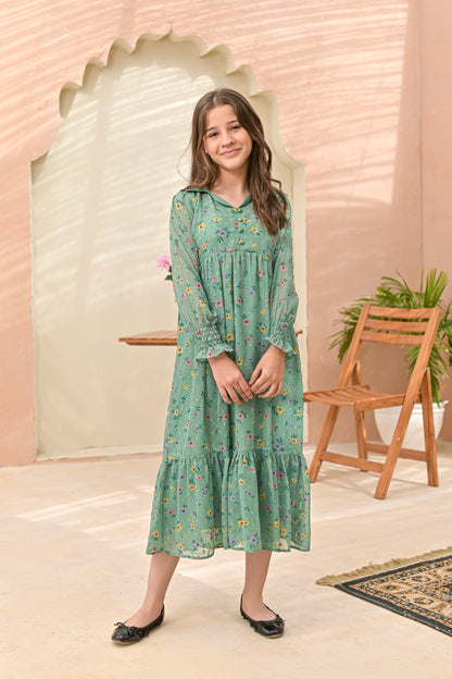Mint Green - Broshia Chiffon