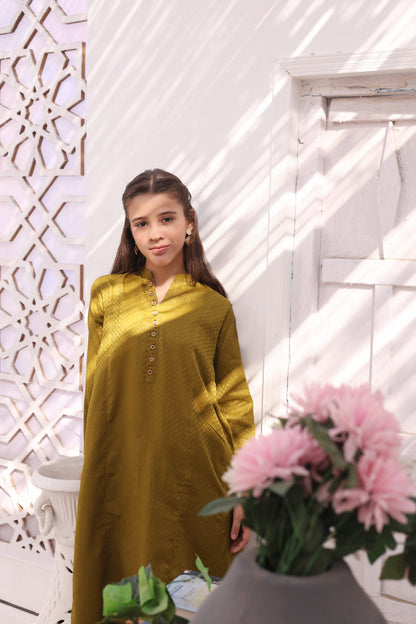 Dhani – 2pc Jacquard